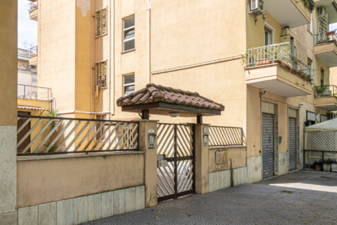 ginepri-2
